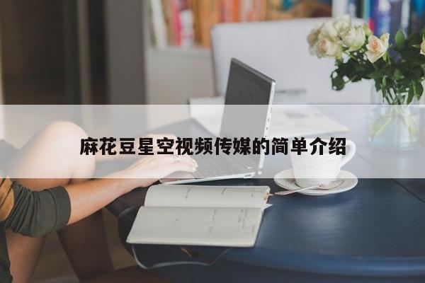麻花豆星空视频传媒的简单介绍