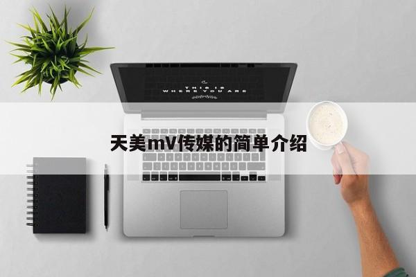 天美mV传媒的简单介绍